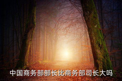 商務(wù)部部長什么級別，商務(wù)部部長多大的官