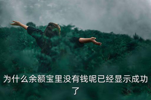 為什么余額寶里沒(méi)有錢(qián)呢已經(jīng)顯示成功了