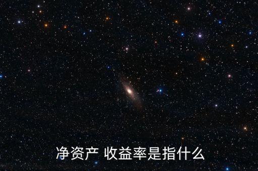  凈資產(chǎn) 收益率是指什么