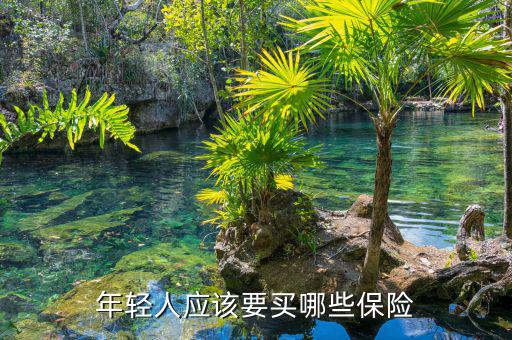 年輕人應該要買哪些保險