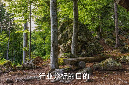 為什么要進(jìn)行行業(yè)分析，為什么要進(jìn)行市場分析