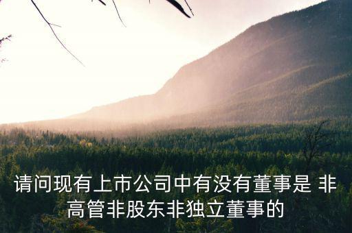什么是非獨(dú)立董事，什么叫執(zhí)行董事非執(zhí)行董事和獨(dú)立非執(zhí)行董事