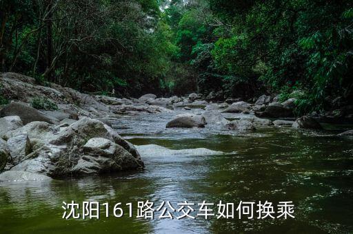  沈陽(yáng)161路公交車(chē)如何換乘