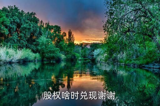 荃銀高科股權(quán)什么時(shí)候兌現(xiàn)，股權(quán)啥時(shí)兌現(xiàn)謝謝