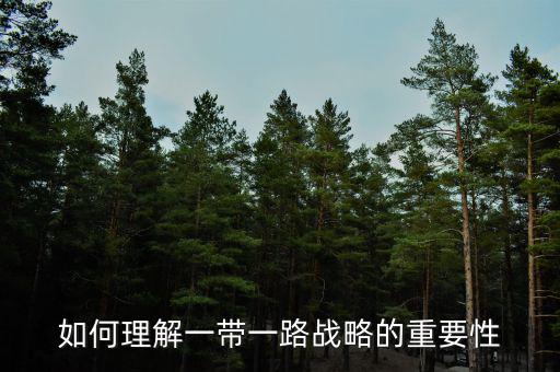中國(guó)為什么要搞一帶一路，當(dāng)代國(guó)際社會(huì)的知識(shí)分析我國(guó)為什么要提出一帶一路的倡