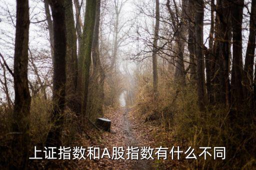 上證指數(shù)和A股什么區(qū)別，上證指數(shù)和A股指數(shù)有什么不同