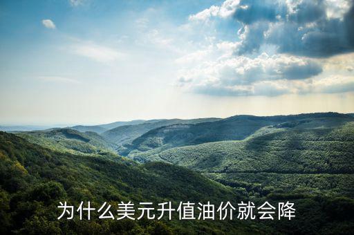 美國油價(jià)為什么跌，美國原油價(jià)格為什么會(huì)從100多美元跌到43美元并且分析以后的趨勢