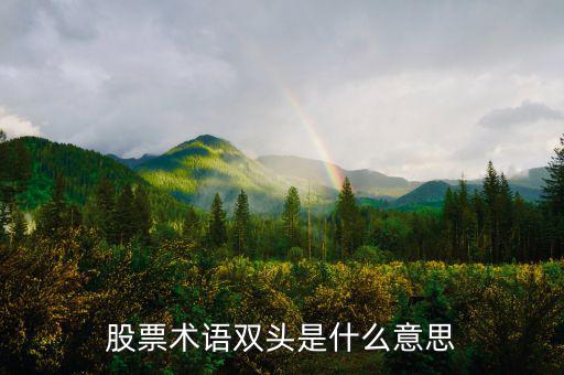 什么是大盤做雙頭，股票術(shù)語雙頭是什么意思