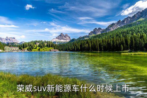 新能源越野車什么時候上市，榮威suv新能源車什么時候上市