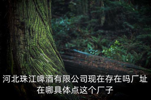 珠江啤酒為什么停牌，為什么市面上找不到珠江啤酒