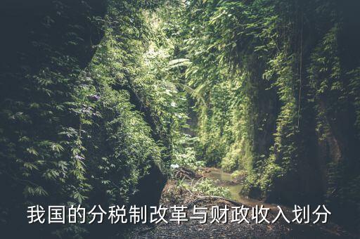 中國財(cái)政為什么會(huì)分權(quán)，西方的財(cái)政分權(quán)理論是否適合中國為什么