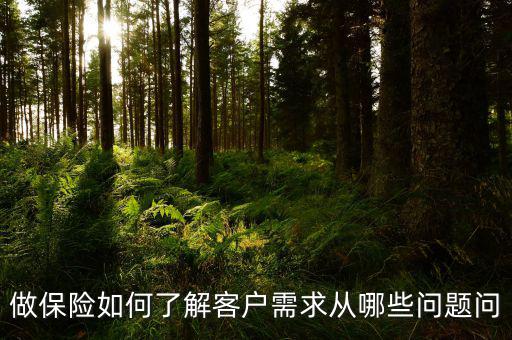 做保險(xiǎn)如何了解客戶(hù)需求從哪些問(wèn)題問(wèn)