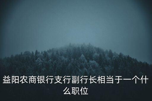 益陽農(nóng)商銀行支行副行長相當于一個什么職位