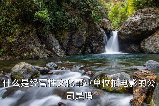 什么是經(jīng)營性事業(yè)單位，哪些屬于經(jīng)營性文化事業(yè)單位