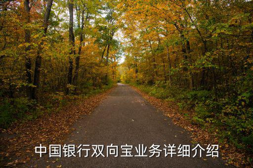 中行雙向?qū)毷鞘裁?，中國銀行雙向?qū)殬I(yè)務(wù)詳細介紹