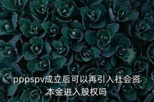 spv公司是什么意思，spv公司是獨(dú)立法人