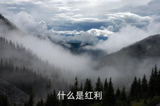 什么是全球化紅利，紅利是指什么意思