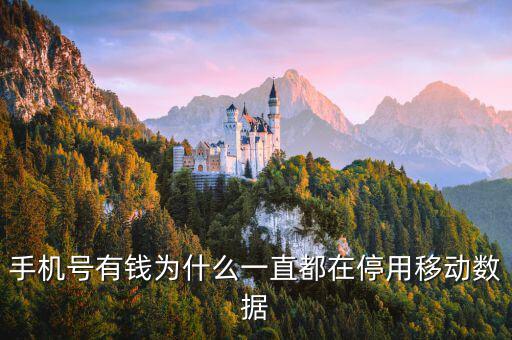 鏈動(dòng)數(shù)據(jù)為什么有錢，廣東鏈動(dòng)為什么那么多人認(rèn)同和喜歡
