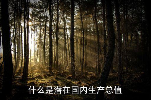 什么是潛在國內生產總值