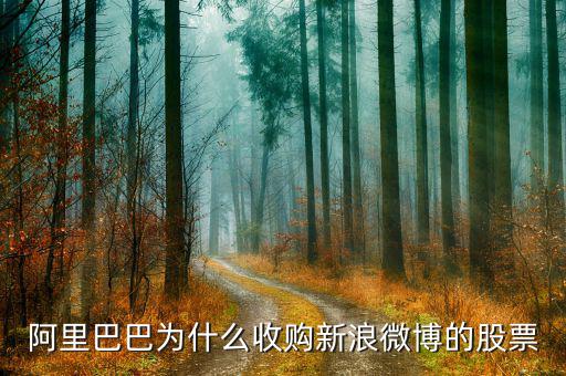 新浪微博為什么在盈利后才上市，新浪微博為何上市