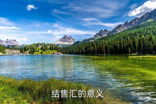 為什么外匯結(jié)匯，結(jié)售匯的意義