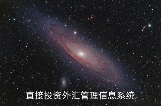 外資上什么傳到外管局應(yīng)用平臺(tái)，直接投資外匯管理信息系統(tǒng)