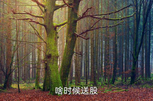 鐵嶺新城什么時(shí)候送股，大家都說(shuō)它出的中報(bào)好但我不知道怎么看我只想問問什么么時(shí)候