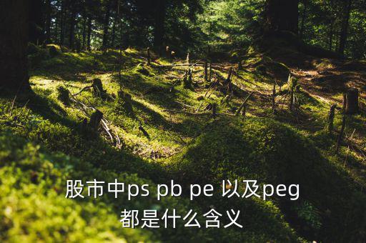 股市peg是什么意思，請問在股市里的PEG是什么意思和股價的關系怎樣多謝