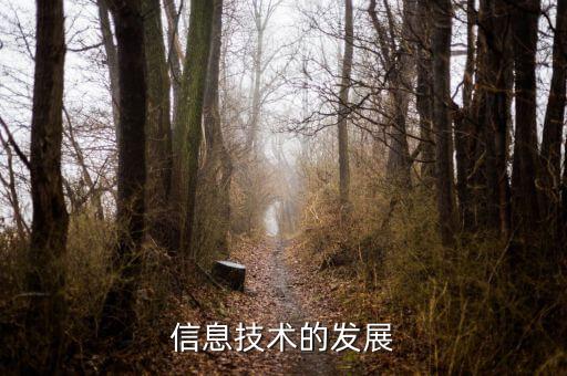 信息發(fā)展是什么板塊，中國軟件 屬于什么板塊