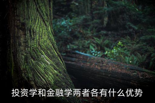 投資學有什么用，投資學和稅務學專業(yè)各自具體是學什么的以后就業(yè)前景及方