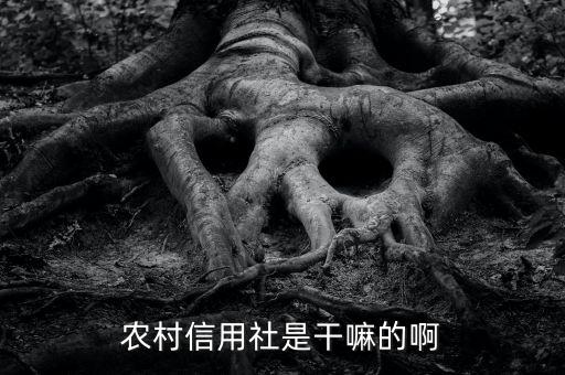 農(nóng)村信用社是干嘛的啊