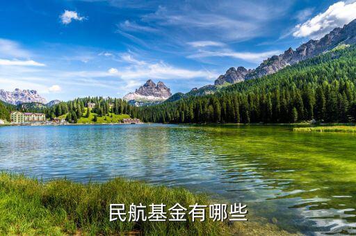 飛機票還有什么民航基金，民航基金有哪些
