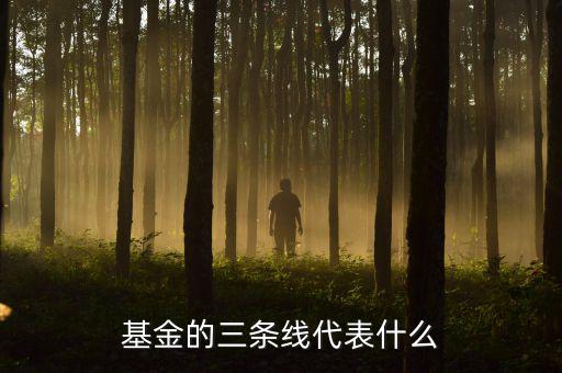 基金滬深兩條線是什么意思，這基金的幾條線分別代表什么意思
