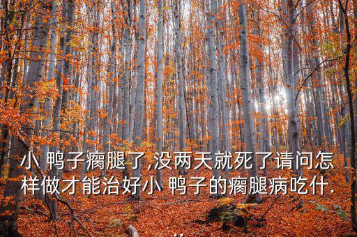 小 鴨子瘸腿了,沒(méi)兩天就死了請(qǐng)問(wèn)怎樣做才能治好小 鴨子的瘸腿病吃什...
