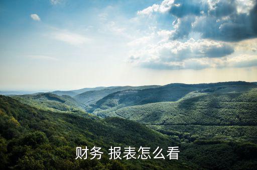 財(cái)務(wù) 報(bào)表怎么看