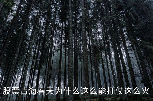 賢成礦業(yè)股份怎么樣,青海春天擬非公開發(fā)行股份購(gòu)買資產(chǎn)