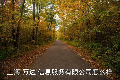 上海 萬達 信息服務有限公司怎么樣