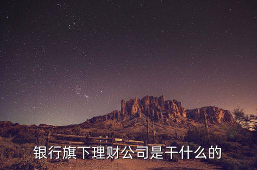 理財(cái)公司經(jīng)主要做什么，理財(cái)經(jīng)理是一般做什么