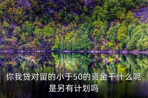 你我貸為什么我要投2萬(wàn)才能減50，你我貸對(duì)留的小于50的資金干什么呢是另有計(jì)劃嗎