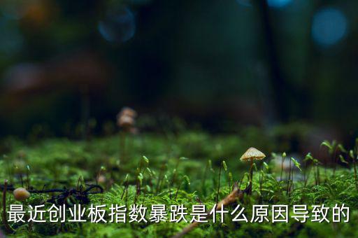 2014創(chuàng)業(yè)板指數(shù)為什么會下跌，為什么股指大幅下跌2014