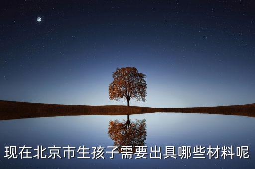 現在北京市生孩子需要出具哪些材料呢
