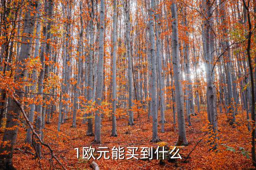一歐元能買(mǎi)什么，1歐元在倫敦可以買(mǎi)到什么
