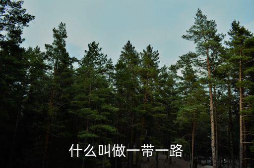 一帶一路什么產(chǎn)品，一帶一路是什么
