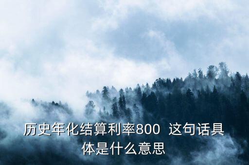 年化結算利率是什么，歷史年化結算利率800  這句話具體是什么意思