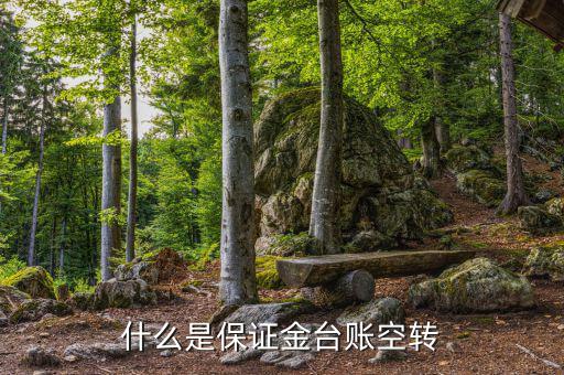什么是資金空轉，資金沖轉的含義是什么名詞解釋