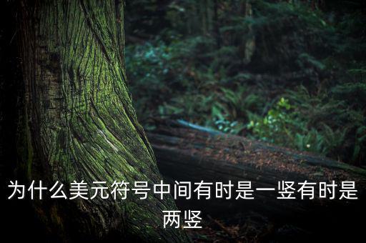 比美元符號多一豎是什么，一個很像美元的符號 但是那一豎是不貫穿S的 也就是S上面有一小豎