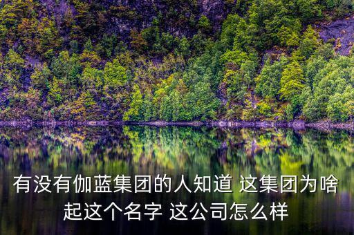 伽藍(lán)集團(tuán)為什么不上市，伽藍(lán)集團(tuán)是一家什么企業(yè)