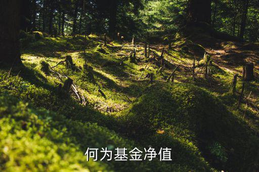 什么叫基金凈值，基金凈值是什么意思