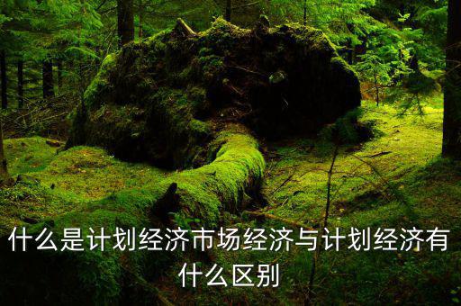 什么是市場(chǎng)經(jīng)濟(jì)和計(jì)劃經(jīng)濟(jì)，什么叫市場(chǎng)經(jīng)濟(jì)