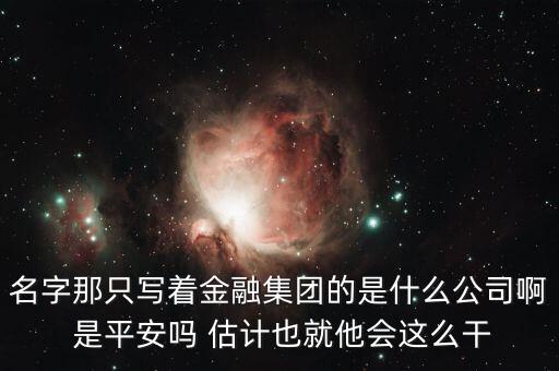 中生金控屬什么企業(yè)，我國四大金融控股公司是什么